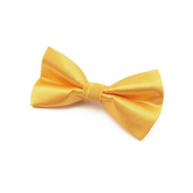 Noeud papillon Jaune