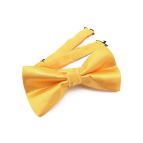 Noeud papillon Jaune