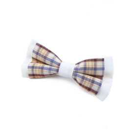 Noeud papillon enfant style Dandy