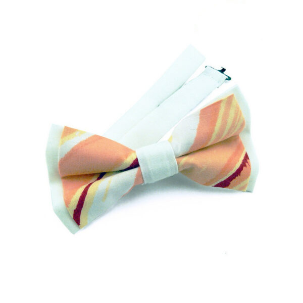 Noeud papillon Orange à rayures