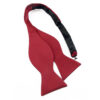 Noeud papillon rouge classique