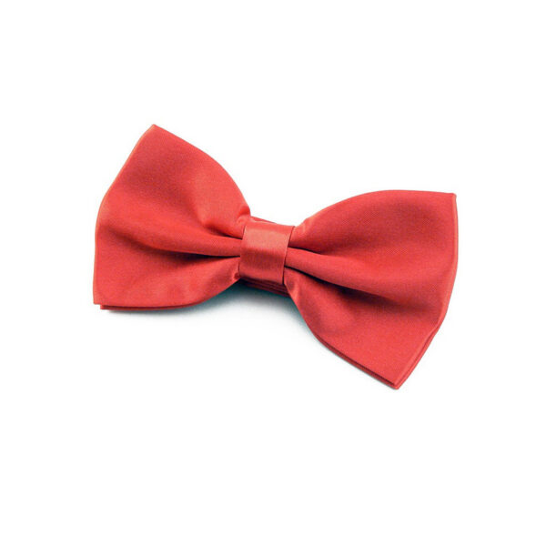 Noeud papillon rouge classique