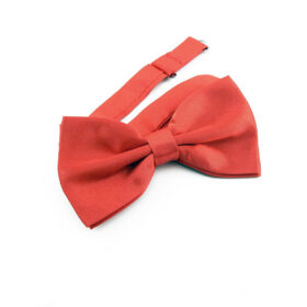 Noeud papillon rouge classique