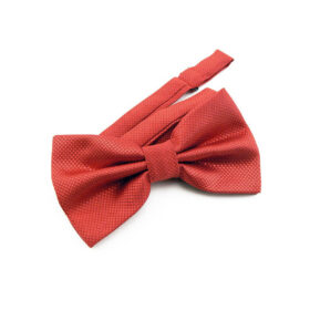 Nœud papillon rouge