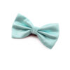 Nœud papillon bleu cyan