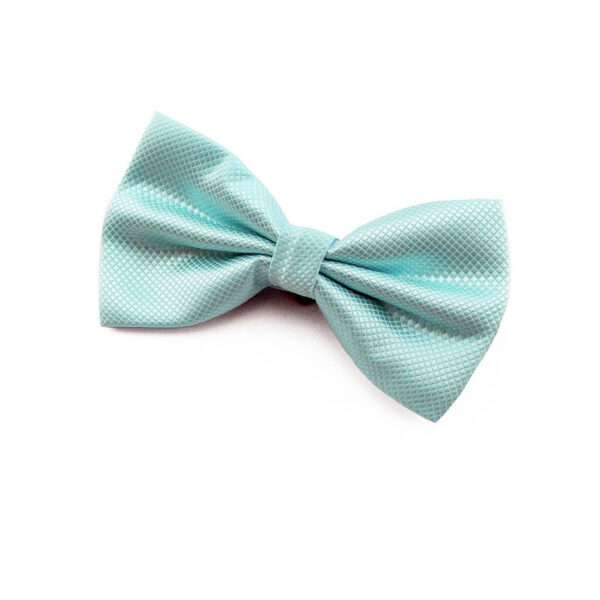 Nœud papillon bleu cyan
