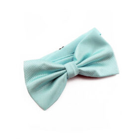 Nœud papillon bleu cyan