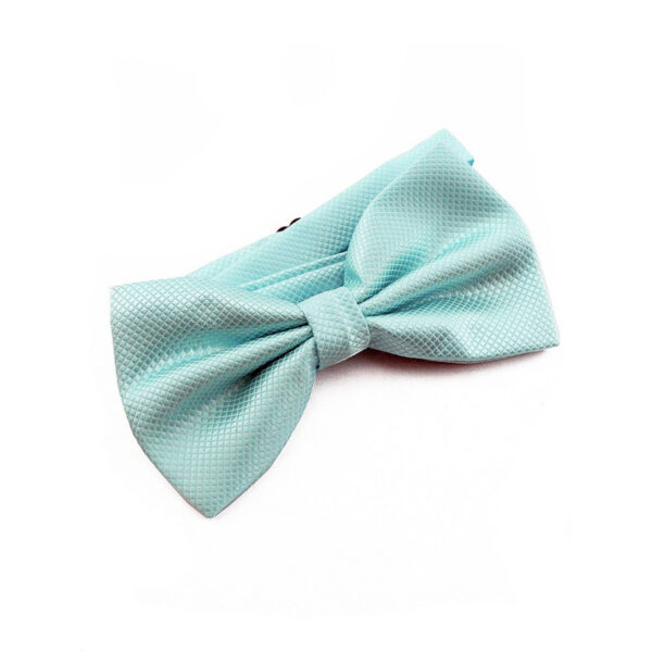 Nœud papillon bleu cyan