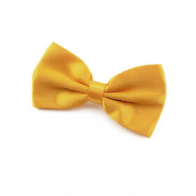 Noeud papillon Jaune