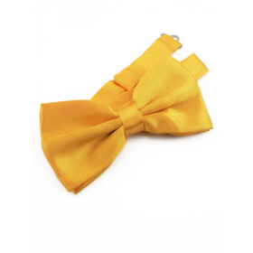 Noeud papillon Jaune
