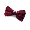 Noeud papillon bordeaux