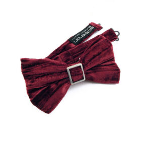 Noeud papillon bordeaux