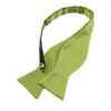 Noeud papillon vert