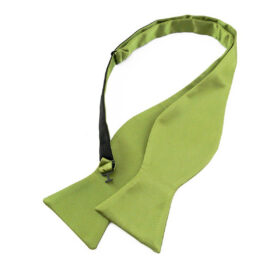Noeud papillon vert