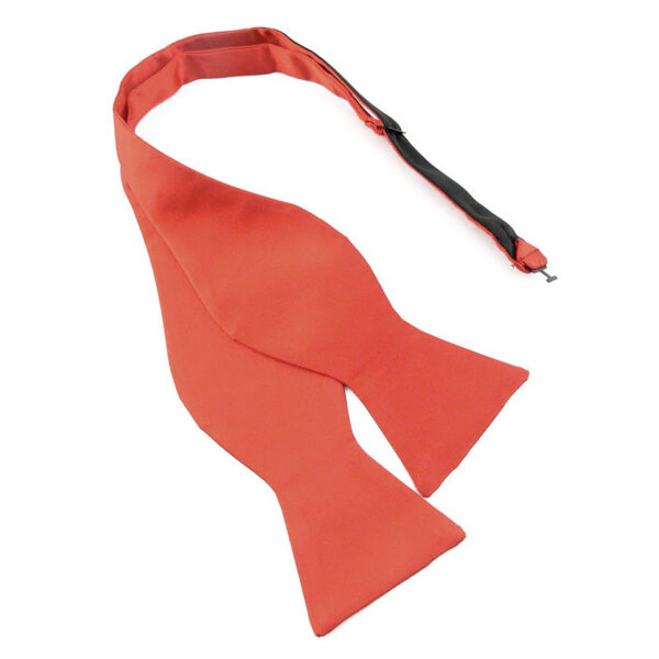 Noeud papillon rouge