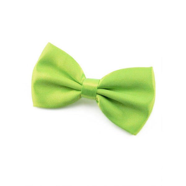 Noeud papillon vert Cedro