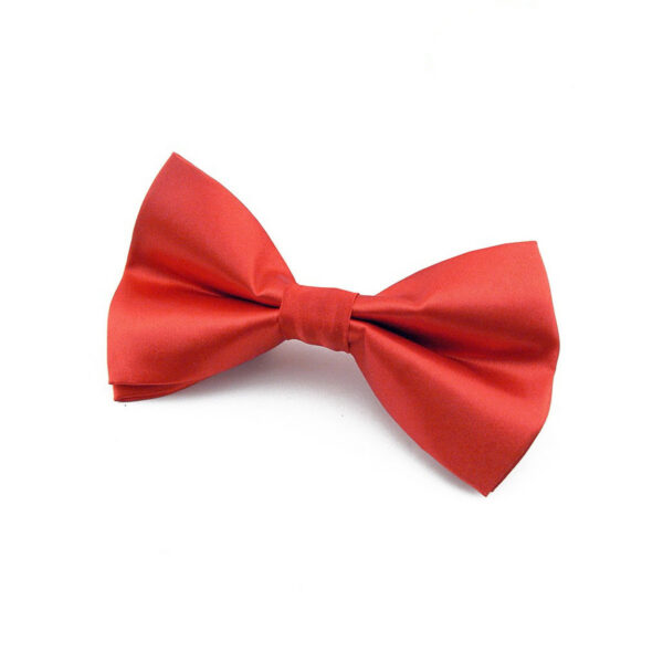 Noeud papillon rouge