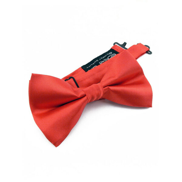 Noeud papillon rouge