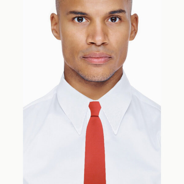 Cravate slim rouge