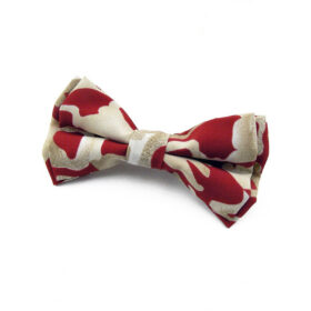 Noeud papillon rouge et beige
