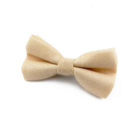 Noeud papillon champagne