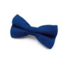 Noeud papillon bleu roi