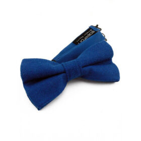 Noeud papillon bleu roi