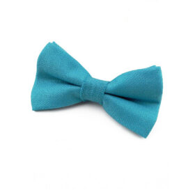 Noeud papillon turquoise