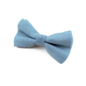 Noeud papillon bleu clair