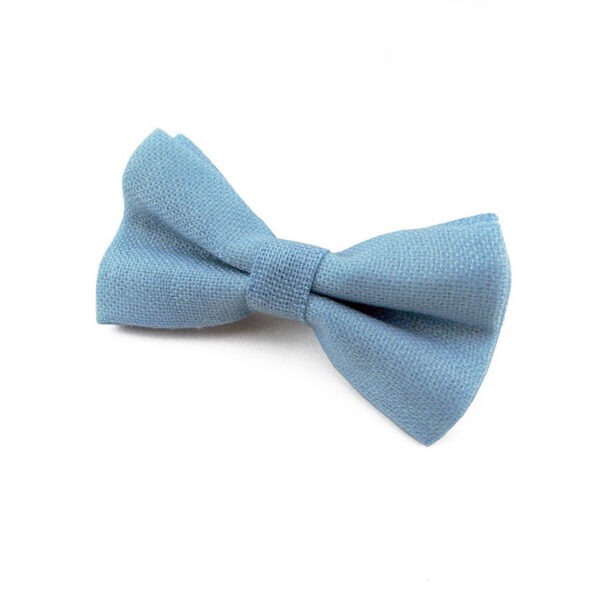 Noeud papillon bleu clair