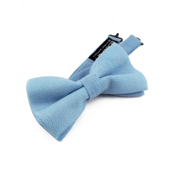 Noeud papillon bleu clair