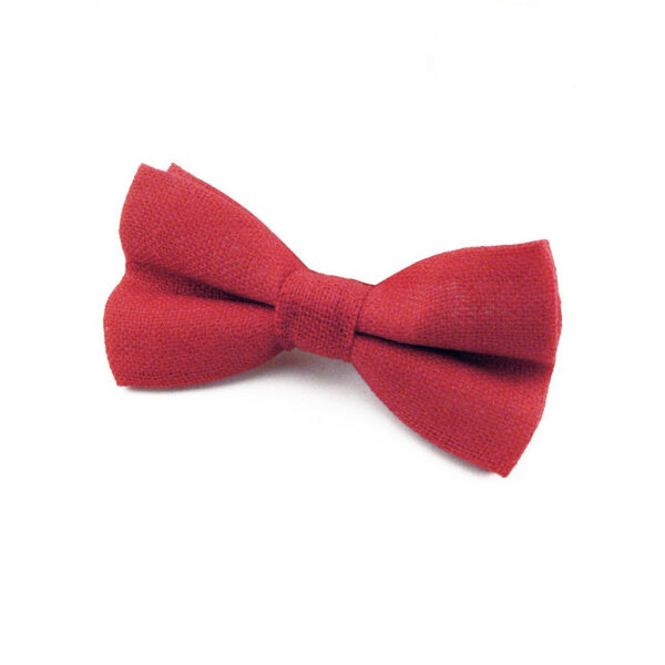 Noeud papillon rouge