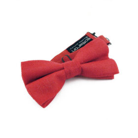Noeud papillon rouge