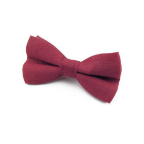 Noeud papillon framboise