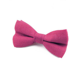 Noeud papillon framboise