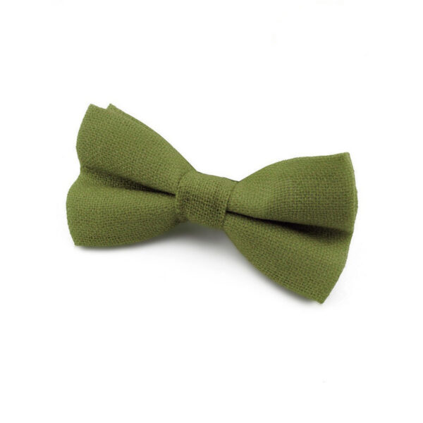 Noeud papillon olive