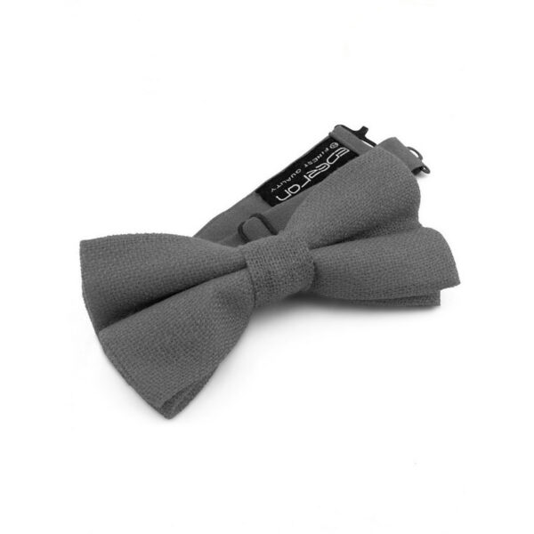 Noeud papillon gris souris