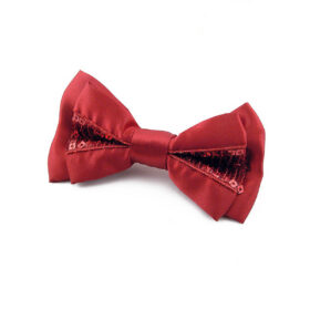 Noeud papillon rouge à paillettes