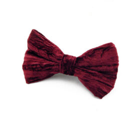 Noeud papillon bordeaux