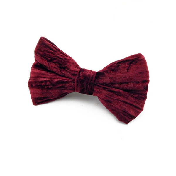 Noeud papillon bordeaux