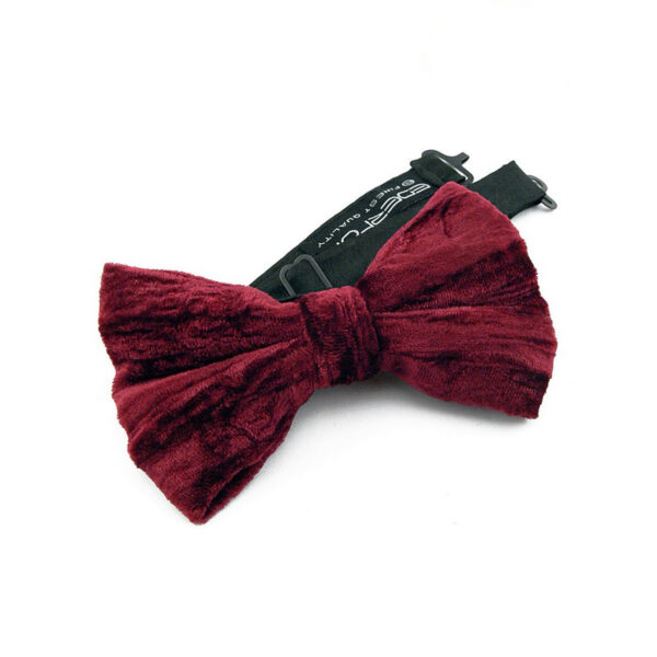 Noeud papillon bordeaux