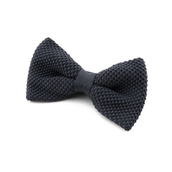 Noeud papillon gris ardoise