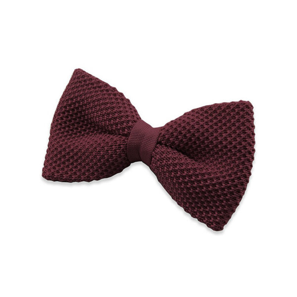 Noeud papillon Bordeaux