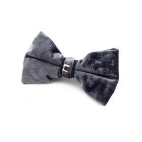 Noeud papillon gris
