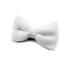 Noeud papillon blanc