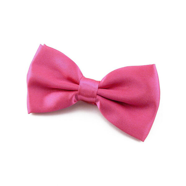 Noeud papillon fuchsia