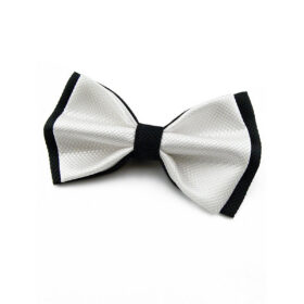 Nœud papillon noir et blanc
