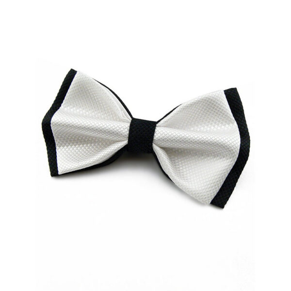 Nœud papillon noir et blanc