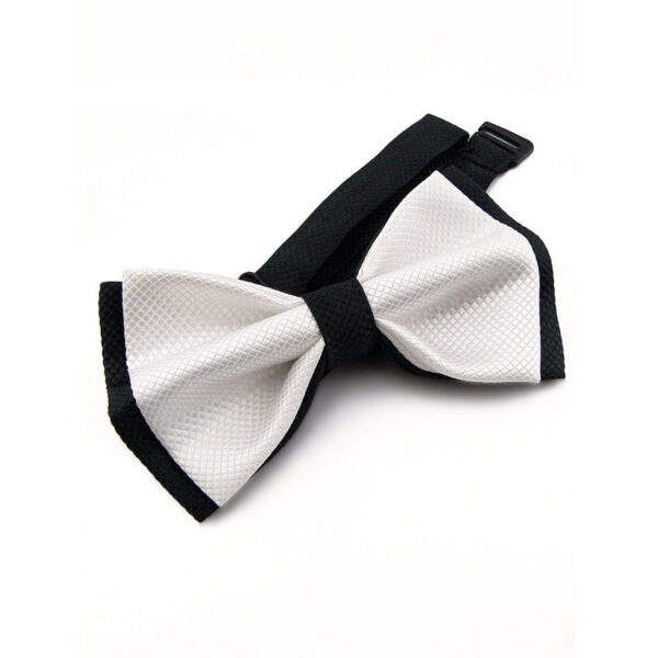 Nœud papillon noir et blanc