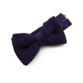 Noeud papillon violet